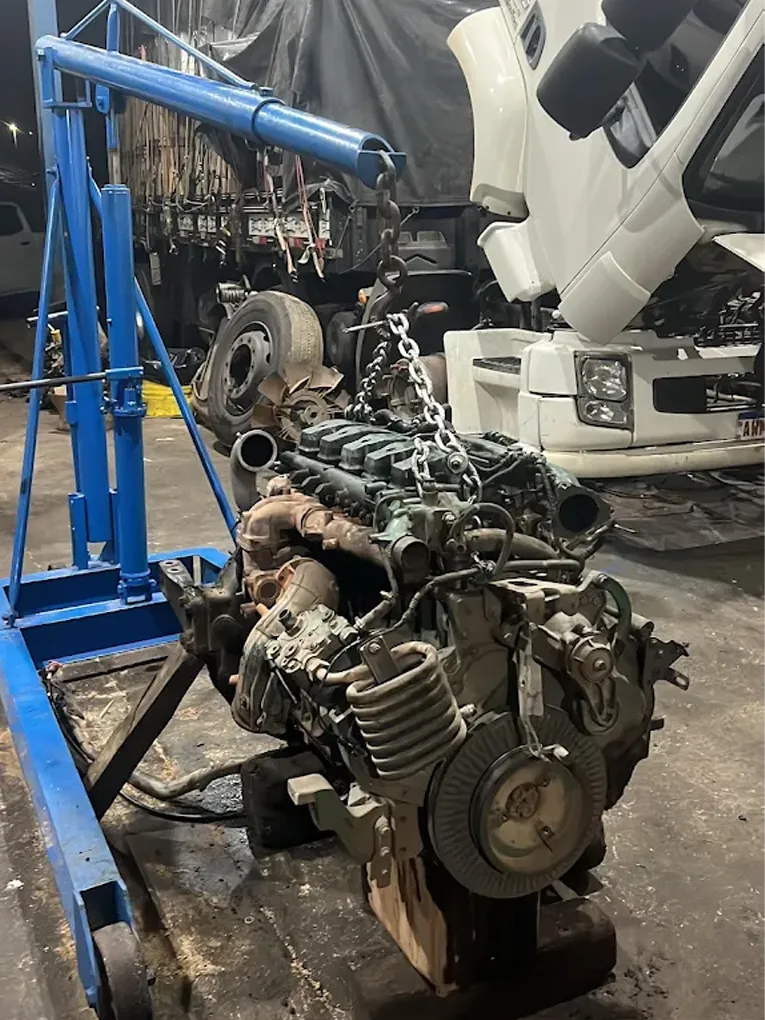 CJ-6-1-1.webp